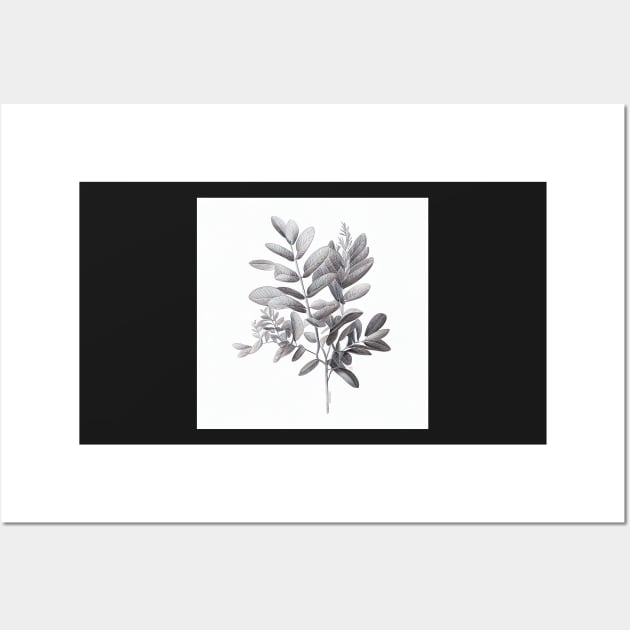 Black And White ZZ Plant Drawing Illustration Wall Art by unrealartwork